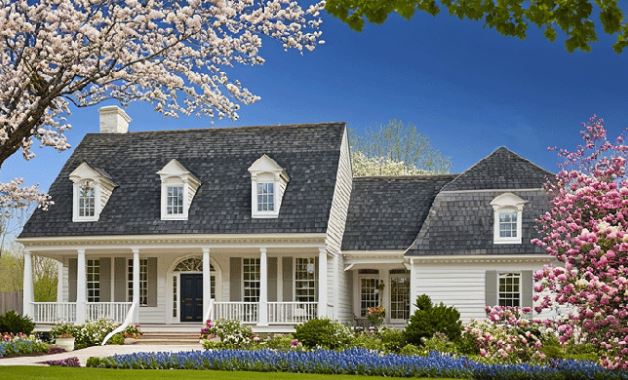 WATERFRONT DG 293 / 361