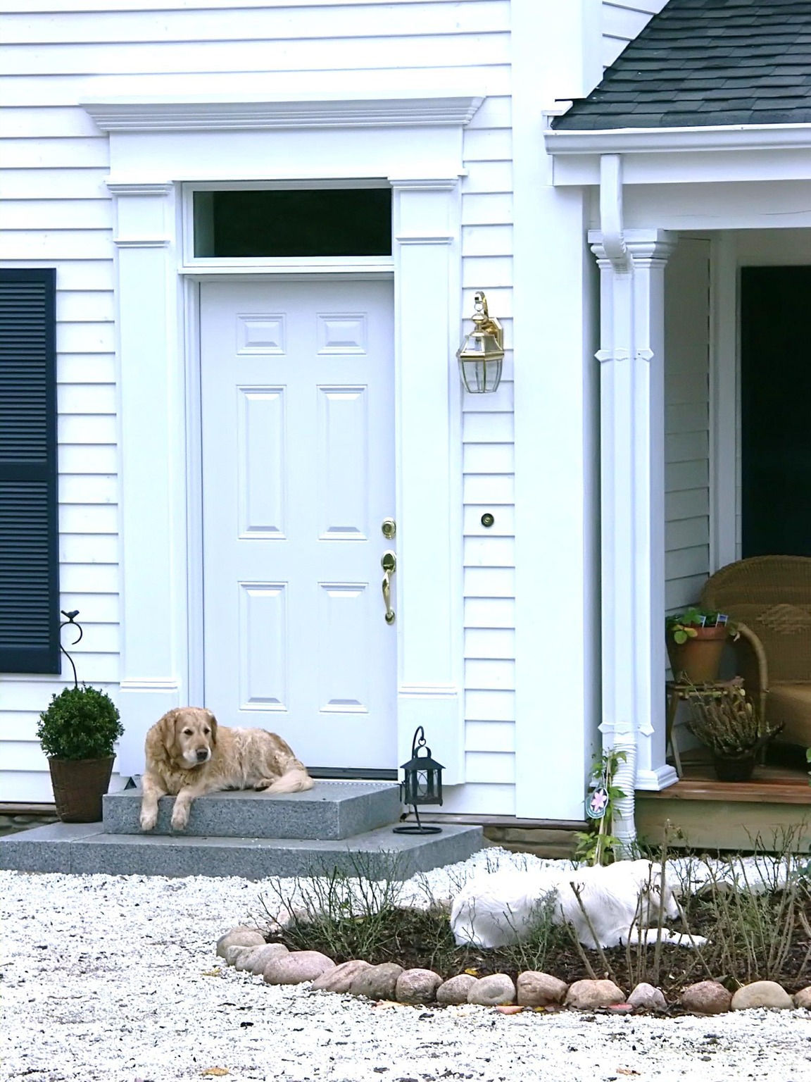 SERIES 300 STANDARD/+